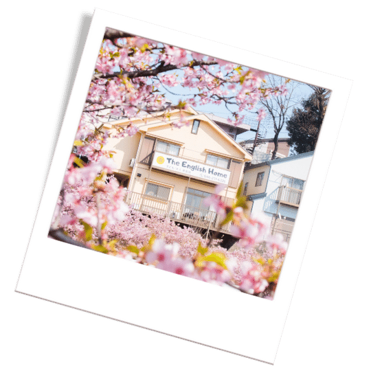 桜と神奈川県の英会話教室イングリッシュホーム